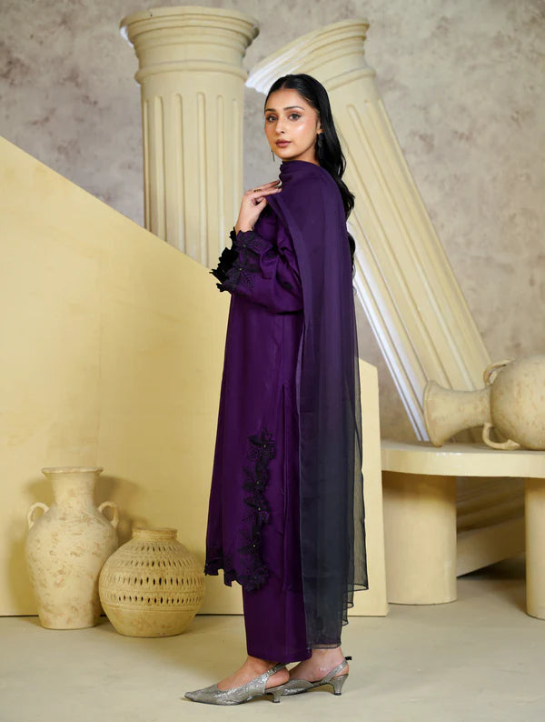Bint e Libaas Royal Amethyst Daily Wear 3 Piece Kurta Set