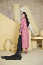 Bint e Libaas Pink Linen Chambray Embroidered Ensemble – 3 Piece Suit